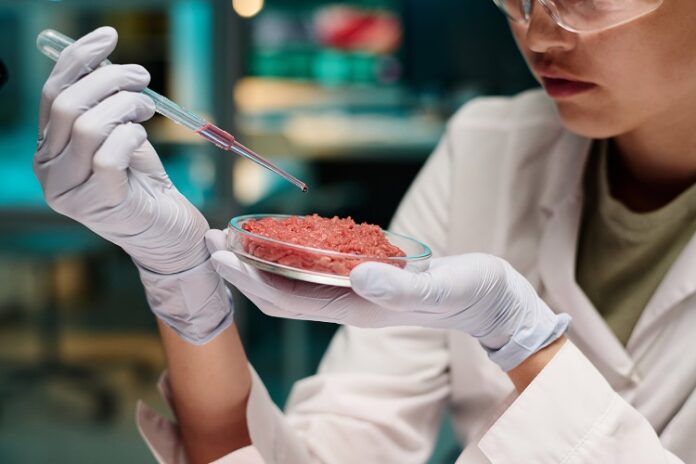 Filtration technique could slash the cost of cultivated meat