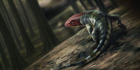 An artist’s impression of what the early reptile trackmaker would look like from 355 million years ago. Image credit: Martin Ambrozik.